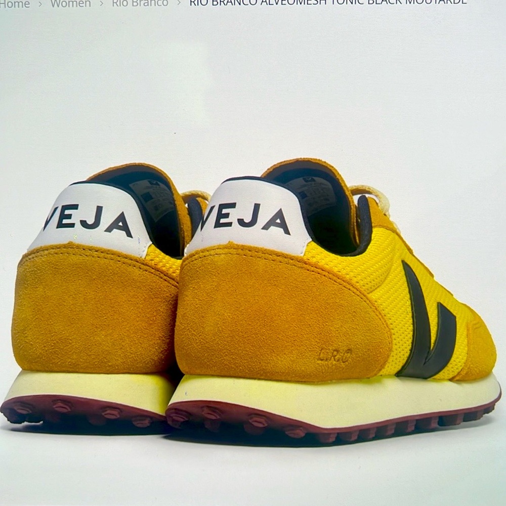 Veja shoes new